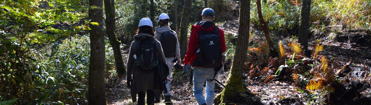 Cedar and Forestry Tour